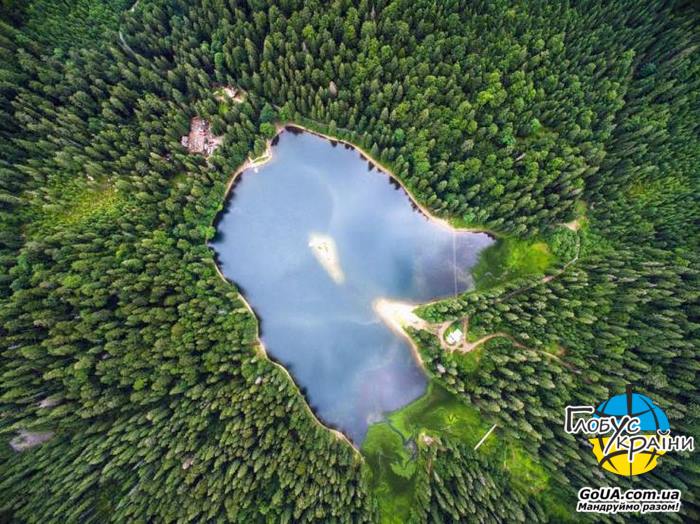 озеро синевир долина нарциссов экскурсия из запорожья западная украина глобус украины